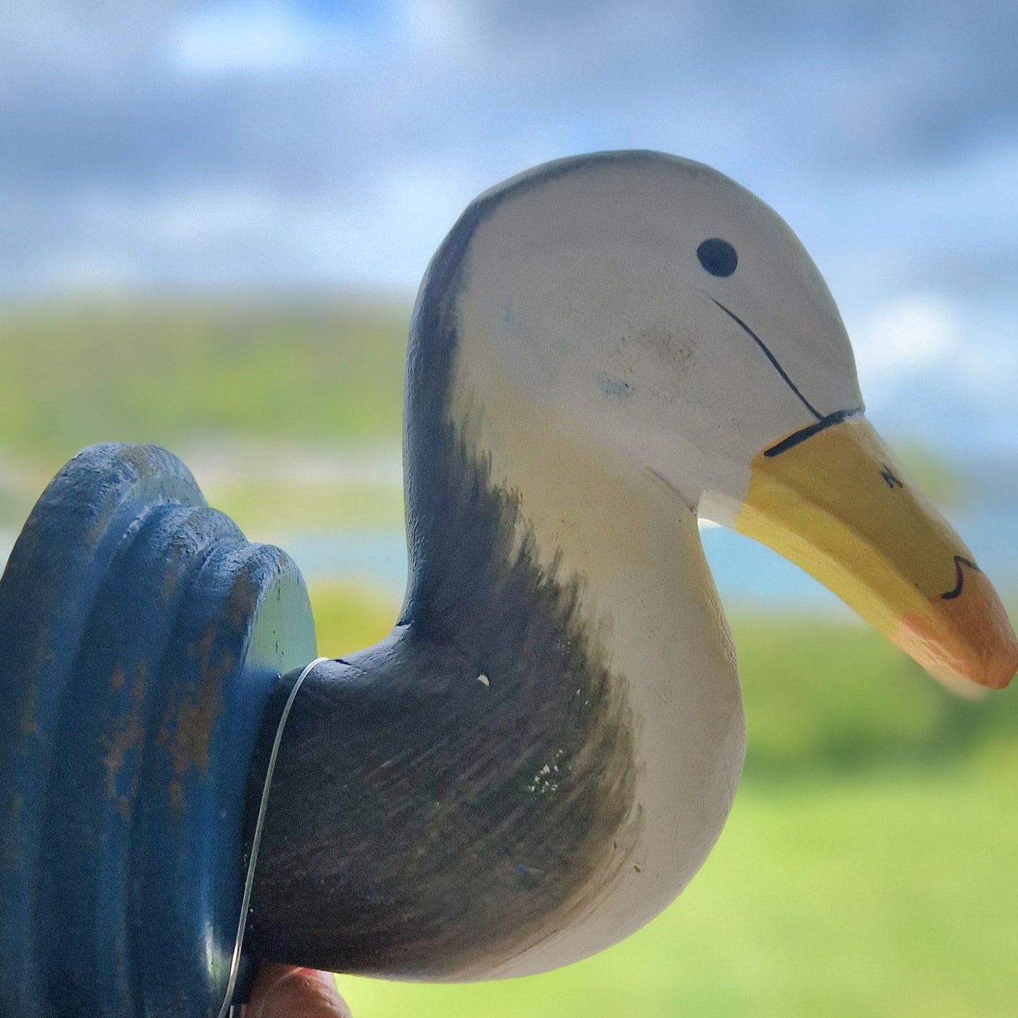 Bird Head Coat Hook. Wooden
