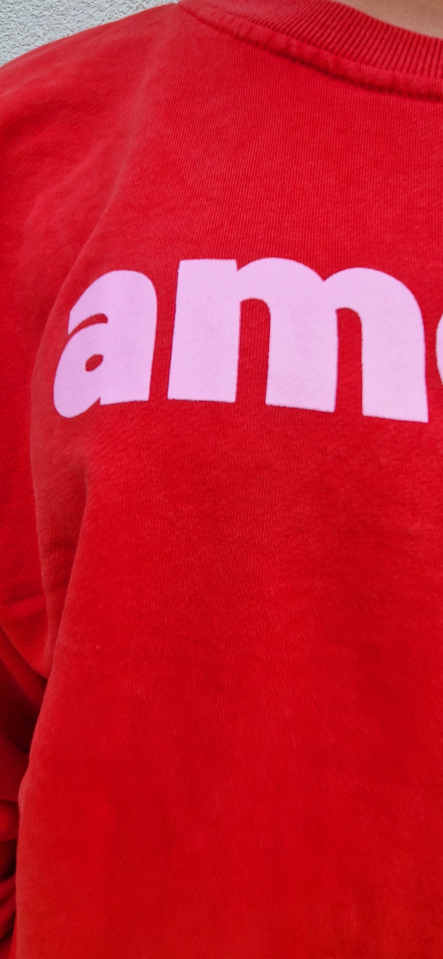 Red and Light pink Amour Sweatshirt.