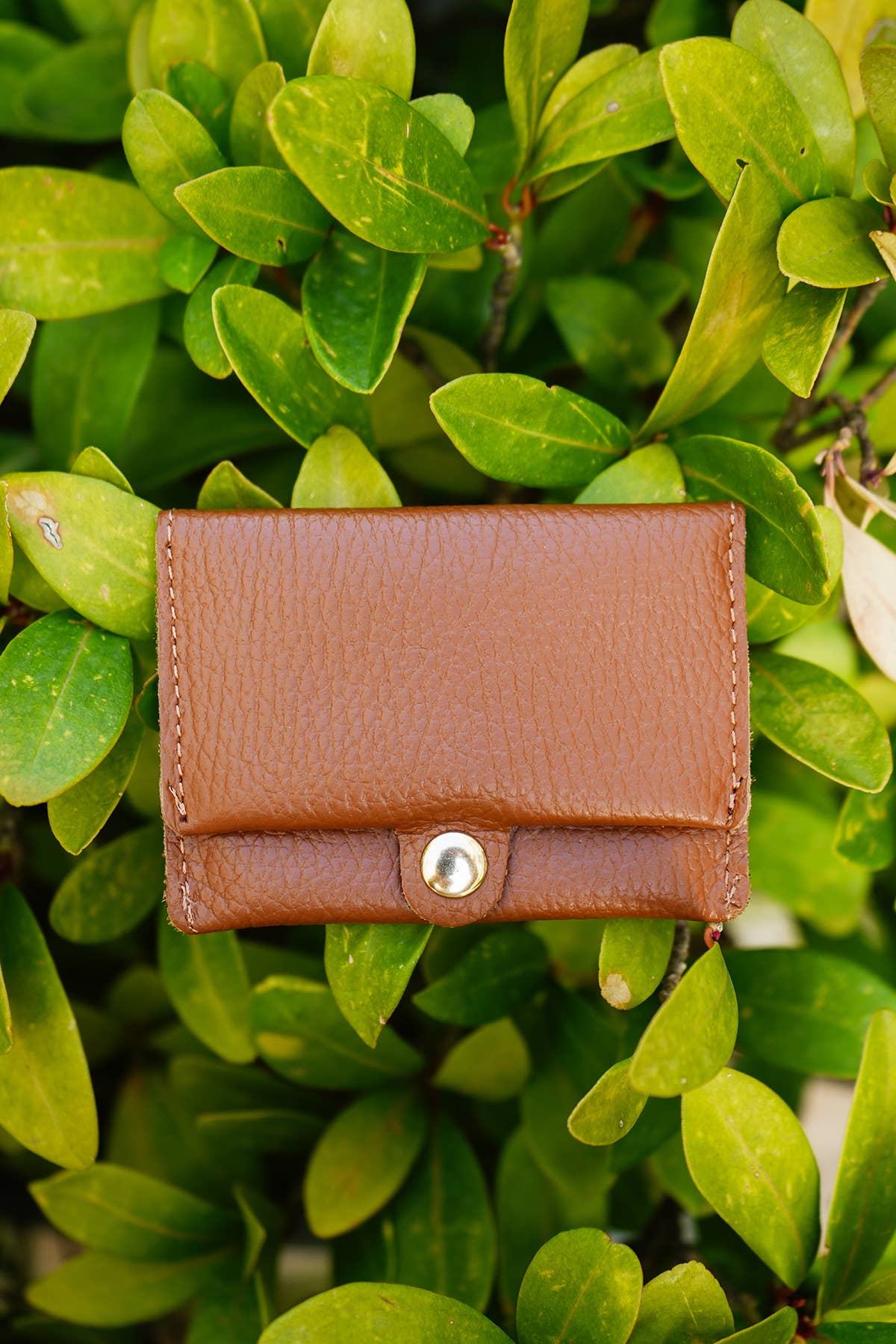 Tan Leather Card purse. Real, Grained Italian leather - Cockleshell Crosshaven
